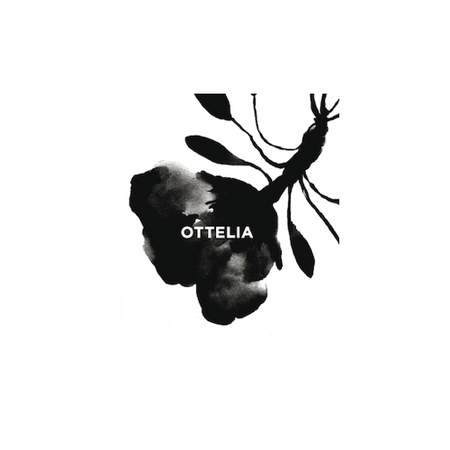 Ottelia wines logo