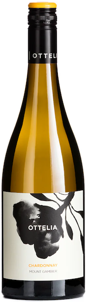 2024 Ottelia Chardonnay