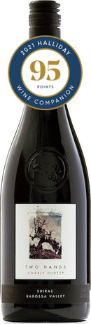 Two Hands Gnarly Dudes Shiraz